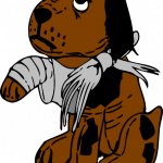 Kā rīkoties, ja tavs suns ir ievainots