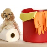 10 veidi, kā suņa īpašniekam saglabāt tīru māju