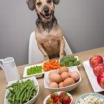 10 suņiem veselīgi