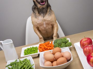 suņiem veselīgi cilvēku ēdieni