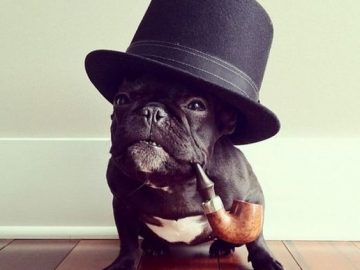 smēķēšana un sunis